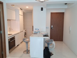 Suites At Orchard (D9), Apartment #231708381